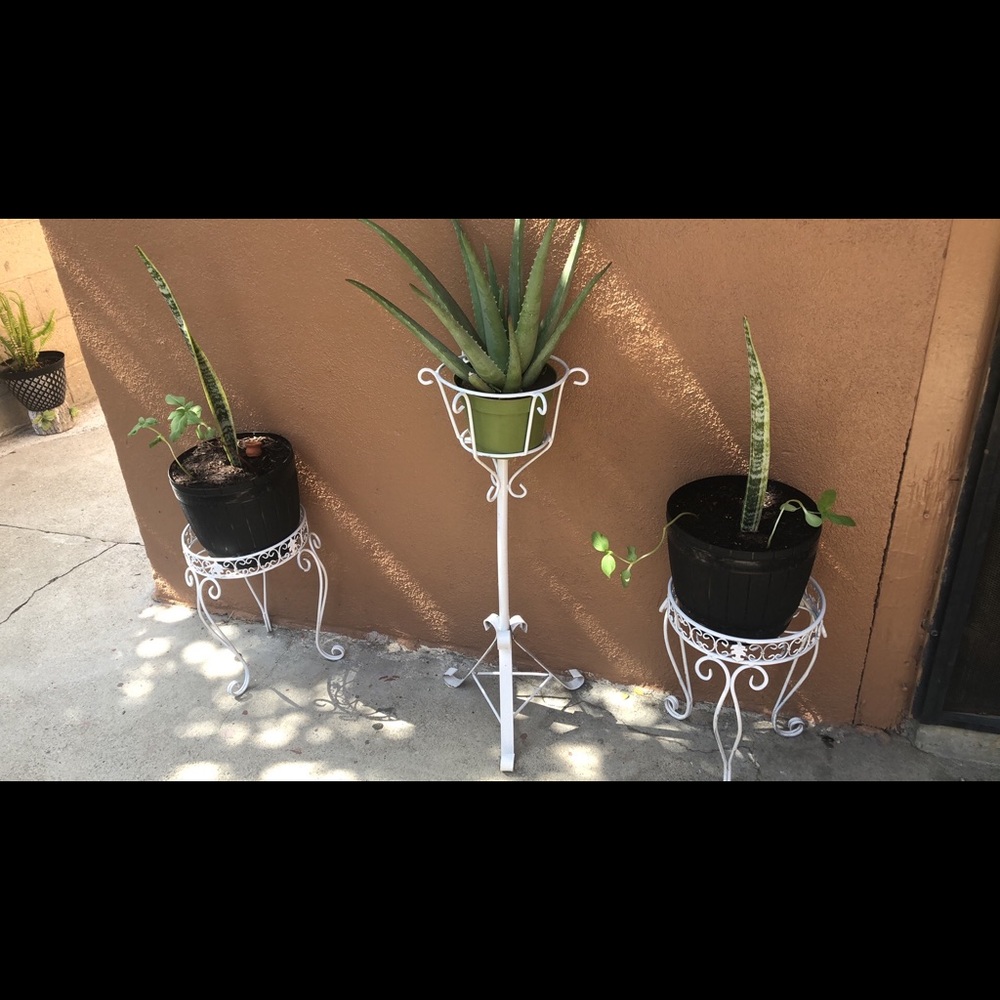 Meet your Posher, Ena